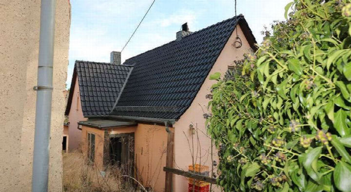Rückansicht eines Einfamilienhauses mit dunklem Ziegeldach und verwitterter Fassade, umgeben von Grünanlagen und einem Busch im Vordergrund