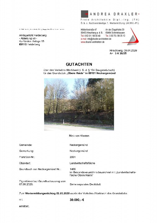 Textseite — Land- und forstwirtschaftlich genutztes Grundstück in Neckargemünd