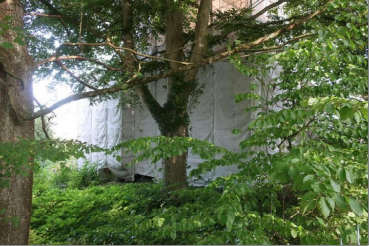 Gartenbereich mit Bäumen und Sträuchern, dahinter Gebäude mit weißer Abdeckung