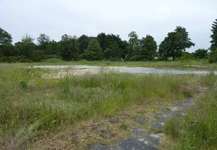 Überwuchertes Grundstück mit hohem Gras, vereinzelten Steinen und Bäumen im Hintergrund, Teil des Grundstücks Sandkamp 25, 27, 33790 Halle (Westf.)