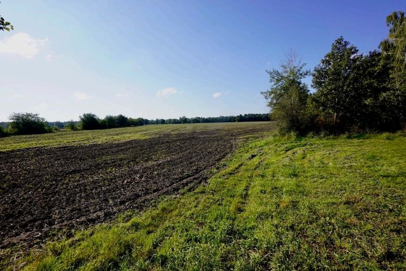 Garten — Land- und forstwirtschaftlich genutztes Grundstück in Bahnsdorf