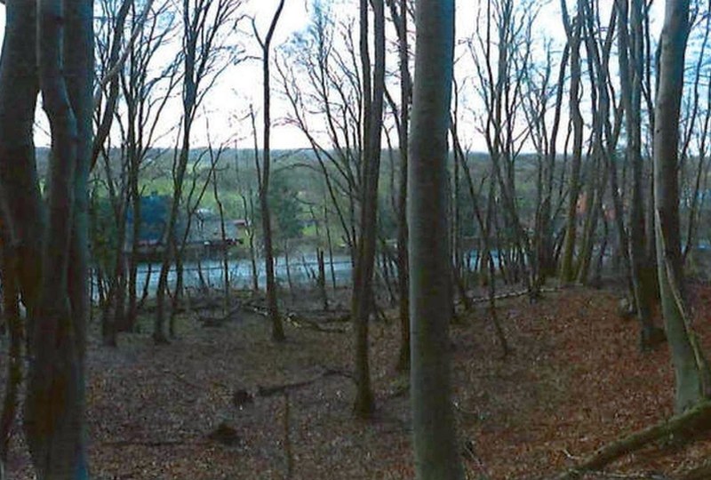 Garten — Land- und forstwirtschaftlich genutztes Grundstück in Escheburg