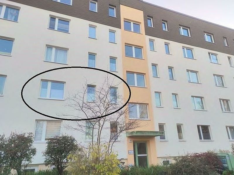 Fassade eines Mehrfamilienhauses in Greifswald, Karl-Liebknecht-Ring 11, mit mehreren Fenstern und einem Eingangsbereich im Erdgeschoss. Ein Baum steht vor dem Gebäude