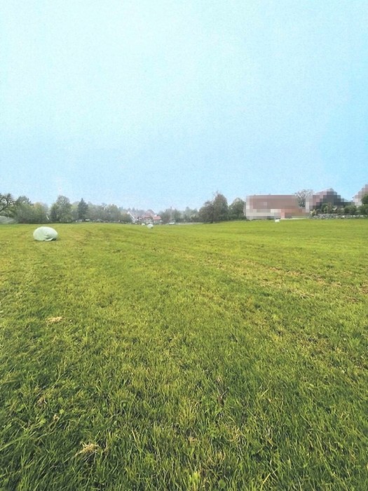 Grünes Feld in Althütte, 71566, mit vereinzelten Bäumen und Gebäuden im Hintergrund unter bewölktem Himmel