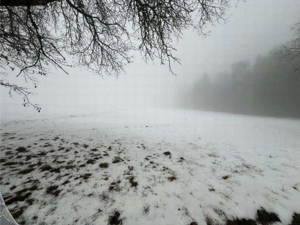 Schneebedeckter Garten mit kahlen Baumzweigen im Vordergrund und nebligem Hintergrund