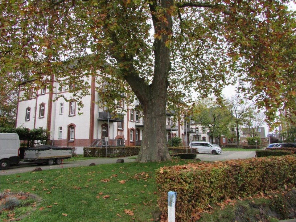 Grüner Gartenbereich mit Baum, Hecken und Rasenfläche vor mehrstöckigem Wohngebäude