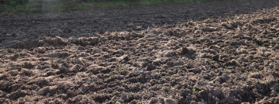 Gepflügter Boden mit Resten von Pflanzen im Gartenbereich in der Nähe der Bamberger Straße, Ebensfeld