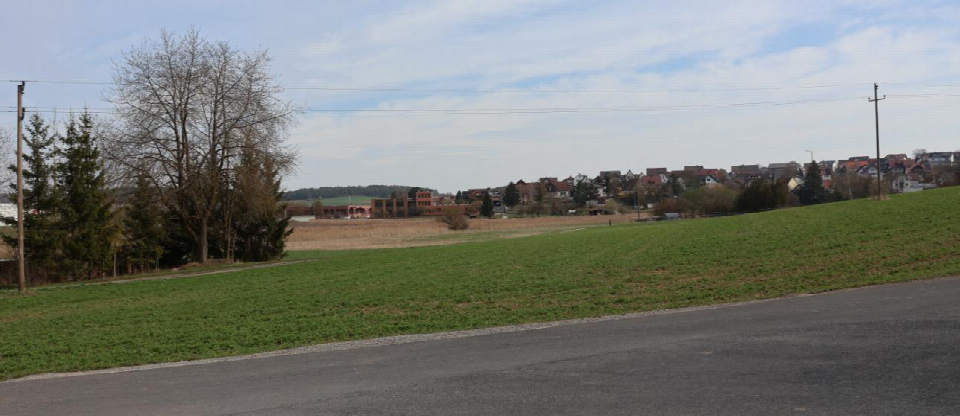 Weitwinkelansicht eines landwirtschaftlich genutzten Grundstücks mit Grünland, Bäumen und im Hintergrund einem Wohngebiet in Gemünden