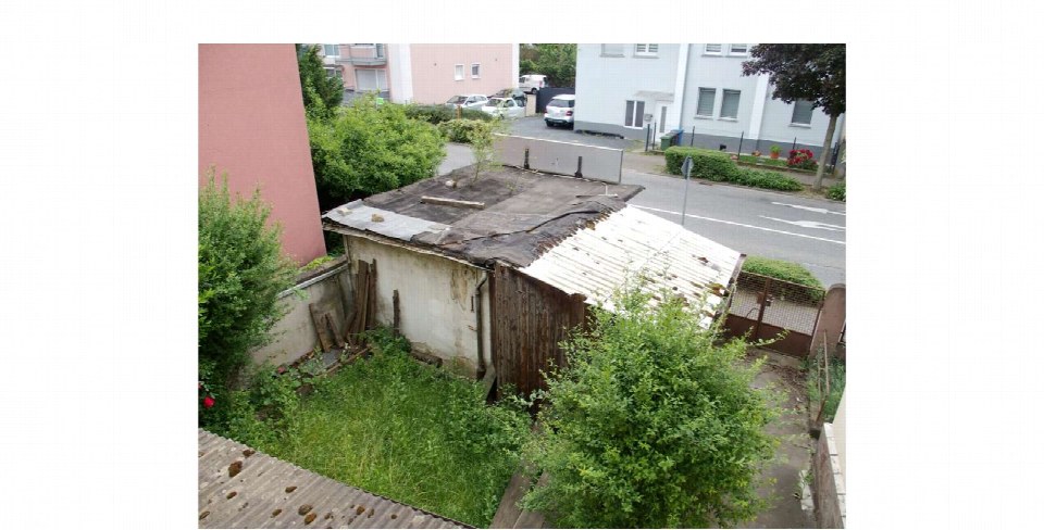 Überwuchertes Grundstück mit verfallener Hütte und Blick auf die Straße und Nachbarhäuser in Hattersheim