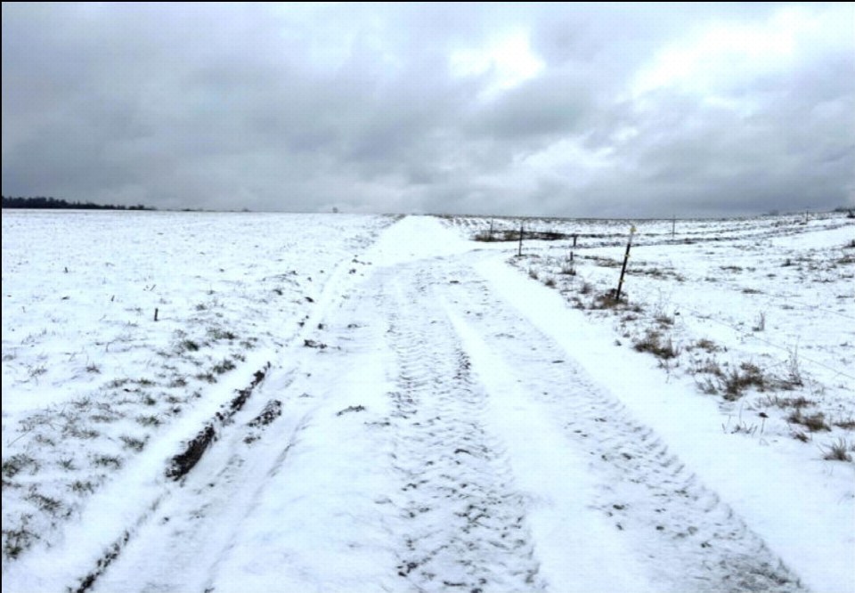 Schneebedecktes Feld mit Fahrspur, Teil eines landwirtschaftlich genutzten Grundstücks in Bad Berka