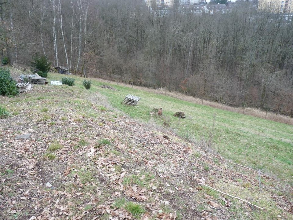 Unbebautes Grundstück mit Gras, Laub und Bäumen im Hintergrund, Spaakstraße 15, Fulda