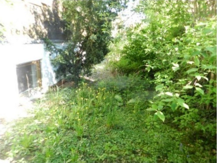 Gartenbereich mit Grünflächen, Sträuchern und Blumen neben einem Gebäude mit Fenster in Seukendorf, Tannenstraße 1