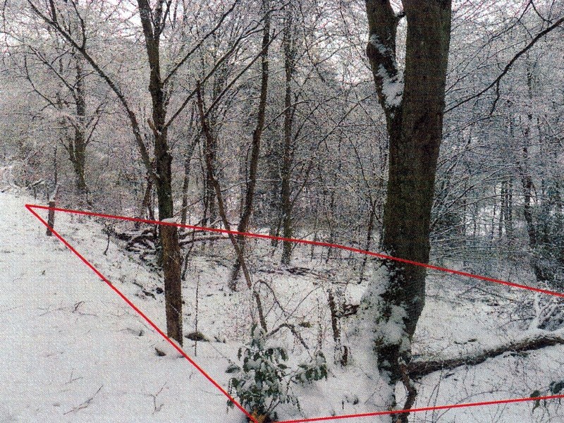 Sonstiges — Immobilie in Heidelberg - Ziegelhausen (Peterstal)
