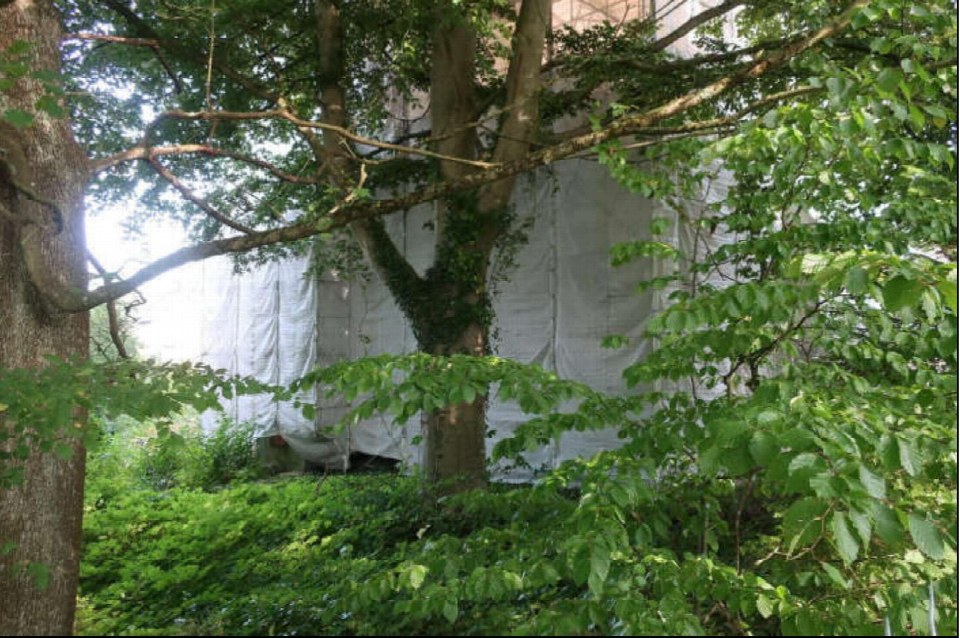 Gartenbereich mit Bäumen und Sträuchern, dahinter Gebäude mit weißer Abdeckung