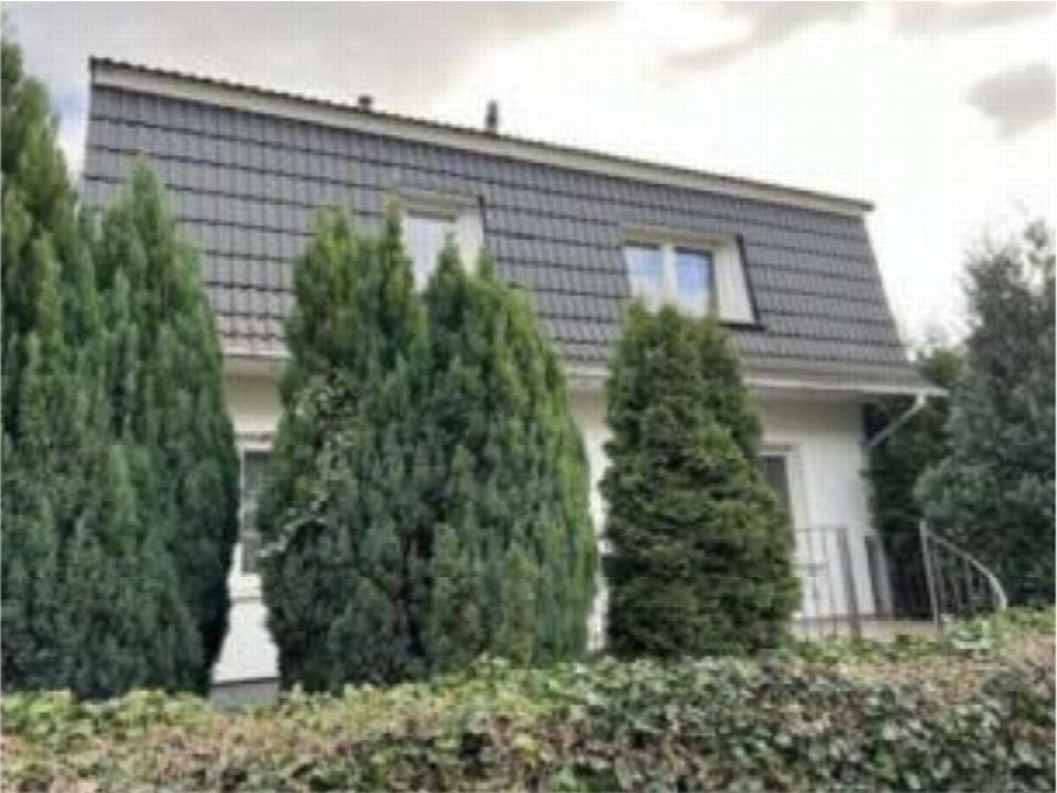 Vorderansicht eines Einfamilienhauses mit grauem Schieferdach, Fenstern im Obergeschoss und grünen Nadelbäumen vor dem Gebäude