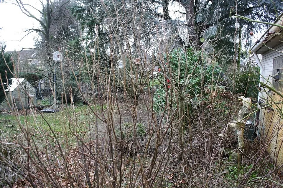 Gartenbereich mit kahlen Sträuchern, Laub auf dem Boden, einem kleinen Schuppen und einer Gartenskulptur im Hintergrund