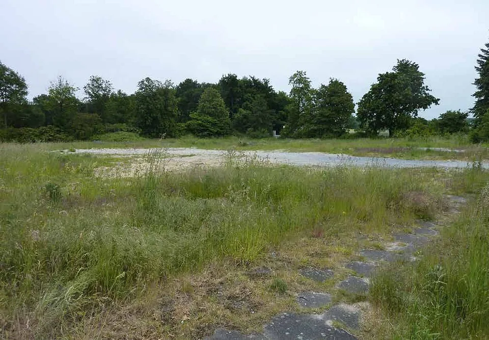 Überwuchertes Grundstück mit hohem Gras, vereinzelten Steinen und Bäumen im Hintergrund, Teil des Grundstücks Sandkamp 25, 27, 33790 Halle (Westf.)