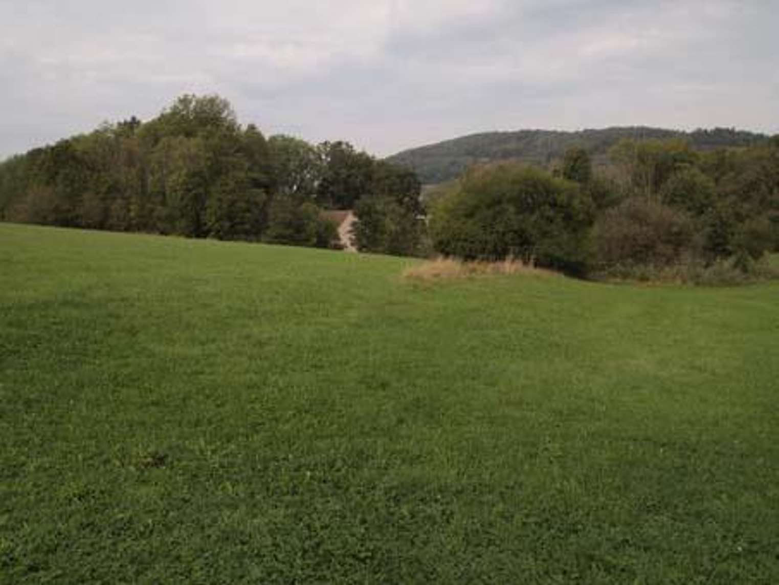 Garten — Grundstück in Uttenreuth -, Kirchenweg 9