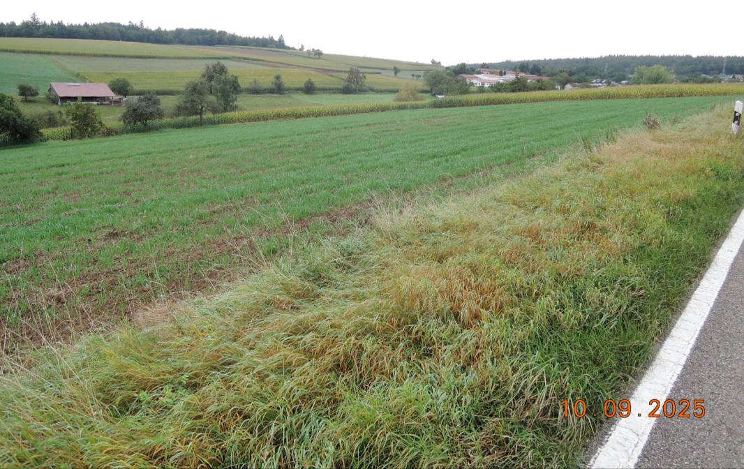 Garten — Land- und forstwirtschaftlich genutztes Grundstück in Heidelberg, Kurfürsten-Anlage 15