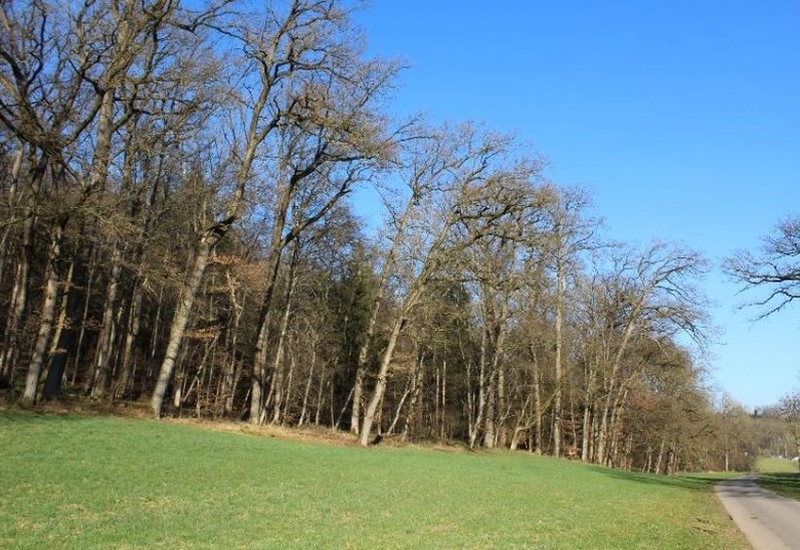Sonstiges — Land- und forstwirtschaftlich genutztes Grundstück in Ostfildern
