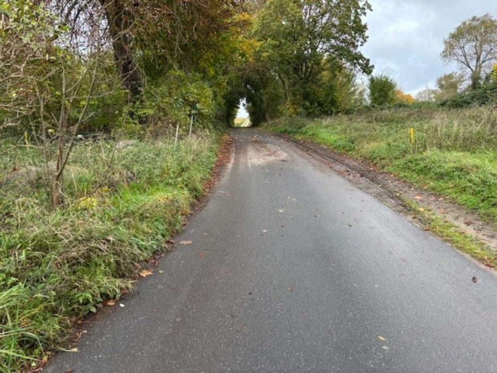Garten — Unbekannt in Gültz, Seltz 6