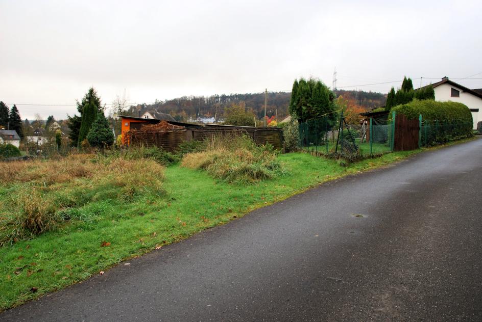 Ungepflegter Gartenbereich mit Gras, Sträuchern und Zaun entlang einer asphaltierten Straße, im Hintergrund Wohnhäuser und bewaldeter Hügel