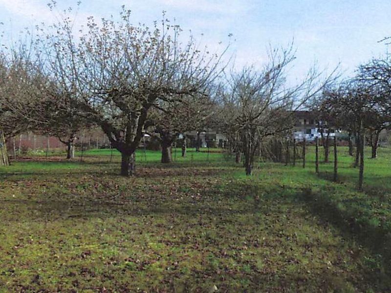 Garten — Unbekannt in Horrheim