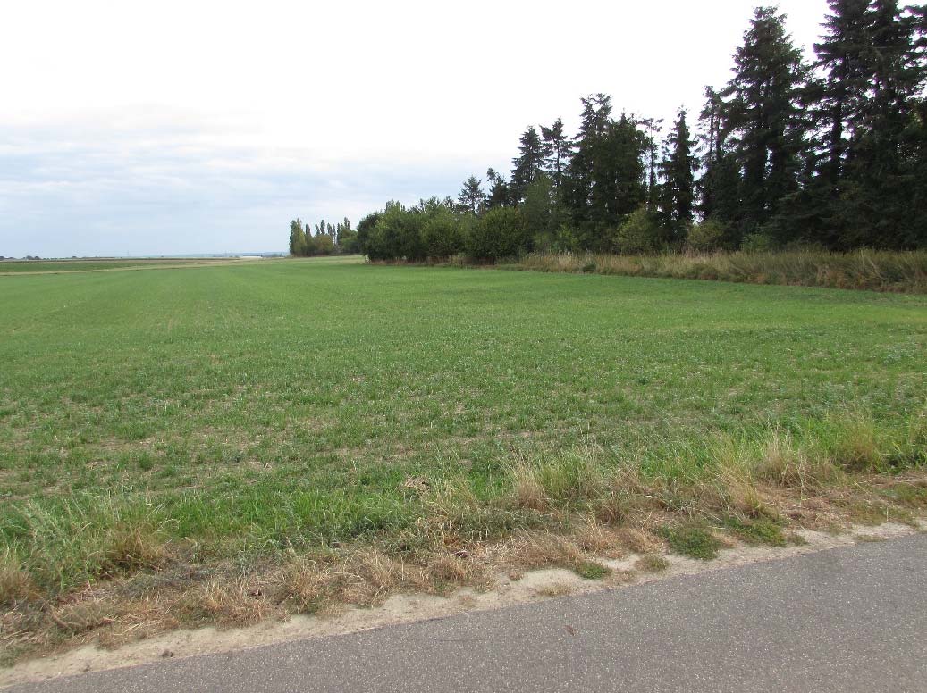Sonstiges — Land- und forstwirtschaftlich genutztes Grundstück in Heinsberg