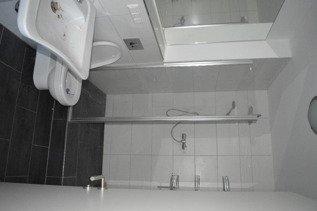 Badezimmer mit Toilette, Waschbecken und Dusche, Fliesenwand, Glasabtrennung