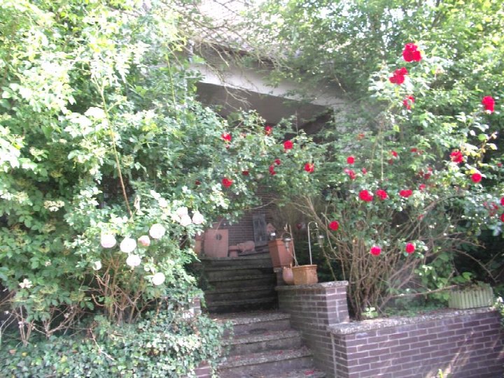 Eingang — Einfamilienhaus in Rinteln, Auf dem Brink 13