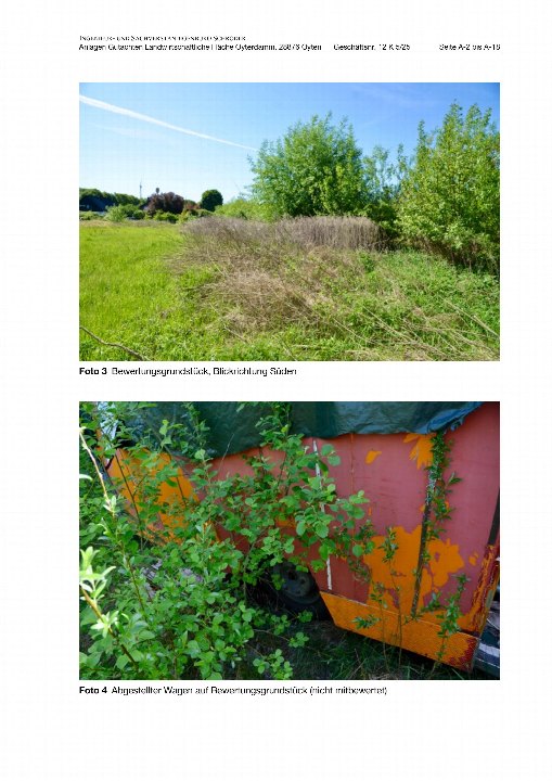 Garten — Land- und forstwirtschaftlich genutztes Grundstück in Achim, Oyterdamm