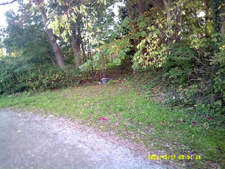 Unbebautes Grundstück mit Rasenfläche, Bäumen und Sträuchern, teilweise mit Laub bedeckt, an der Großen Straße in Süderbrarup