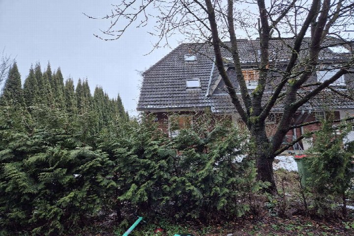 Gartenbereich mit Nadelbäumen und kahlem Baum vor einer Doppelhaushälfte mit Schieferdach, Alter Berner Weg 115, Hamburg 22399