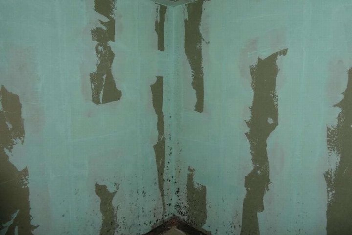 Innenansicht einer Eigentumswohnung in Bad Mergentheim, Ketterburgweg 6, mit abblätternder Wandfarbe und sichtbaren Schäden an den Wänden und der Ecke