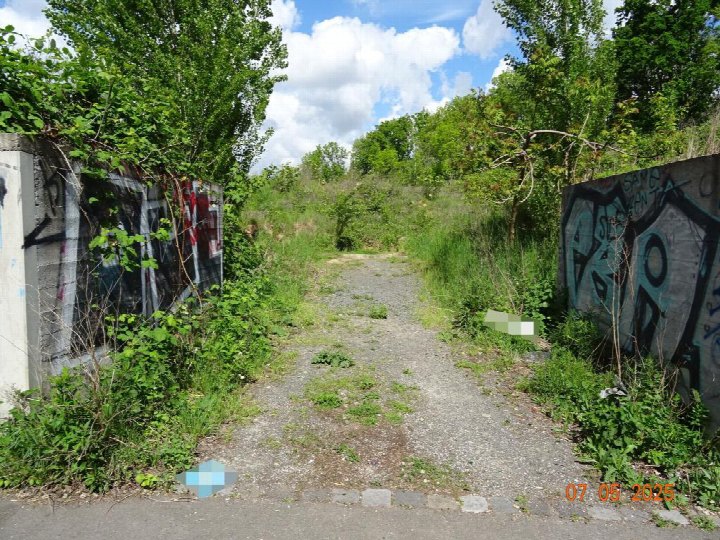 Unbefestigter Weg zwischen bewachsenen Betonwänden mit Graffiti, umgeben von Grünflächen und Bäumen, Torgauer Straße 53, Leipzig Schönefeld-Ost