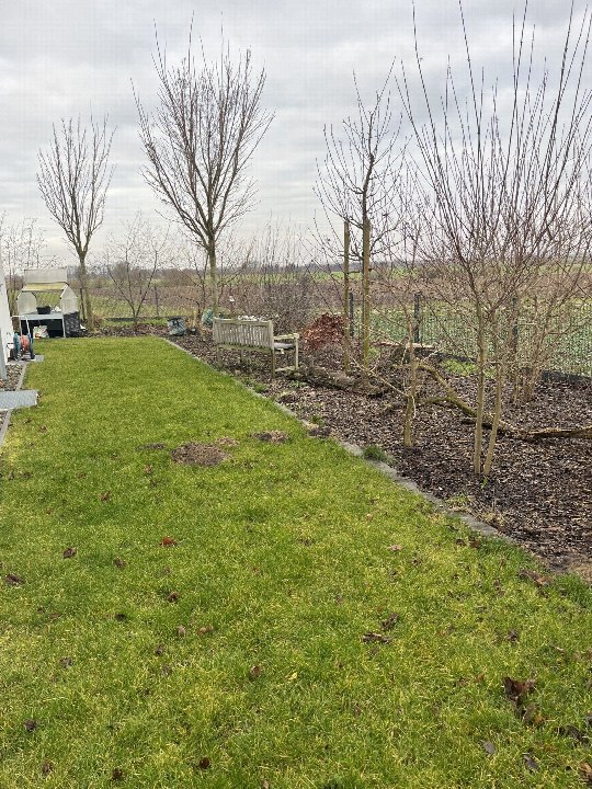 Gartenbereich mit Rasenfläche, kahlen Bäumen, Holzbank und mulchbedeckten Beeten. Im Hintergrund sind Felder und ein kleiner Schuppen sichtbar