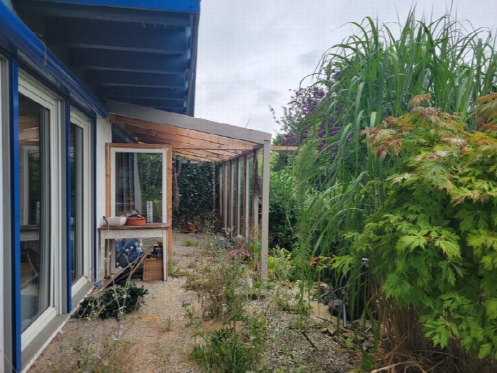 Gartenbereich mit Kiesweg, Pflanzen, Sträuchern und Holzpergola neben einem Haus mit blauer Fassade