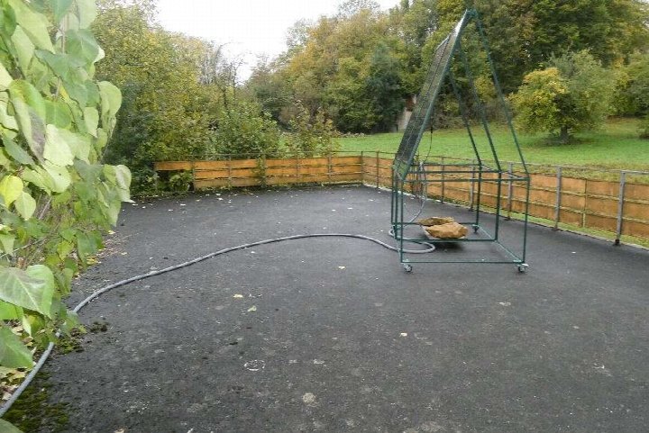 Pflasterter Gartenbereich mit Holzzaun, Grünanlagen und einem Metallgestell im Freien