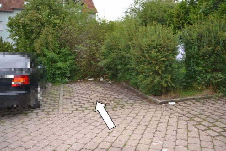 Pflastersteine mit geparktem Auto und Hecken im Hintergrund, Teil des Grundstücks Maulacher Straße 25, 27, 29