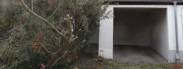 Offene Garage mit Betonboden und weißen Wänden, links dichter Strauchbewuchs, Teil eines Einfamilienhauses in Bamberg
