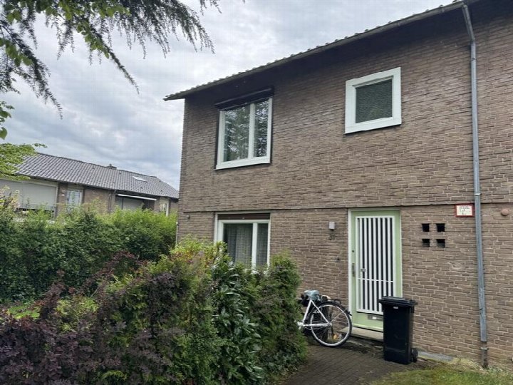 Eingangsbereich eines Reihenhauses mit grüner Tür, Fenstern und angrenzendem Garten. Fahrrad und Mülltonne vor der Tür