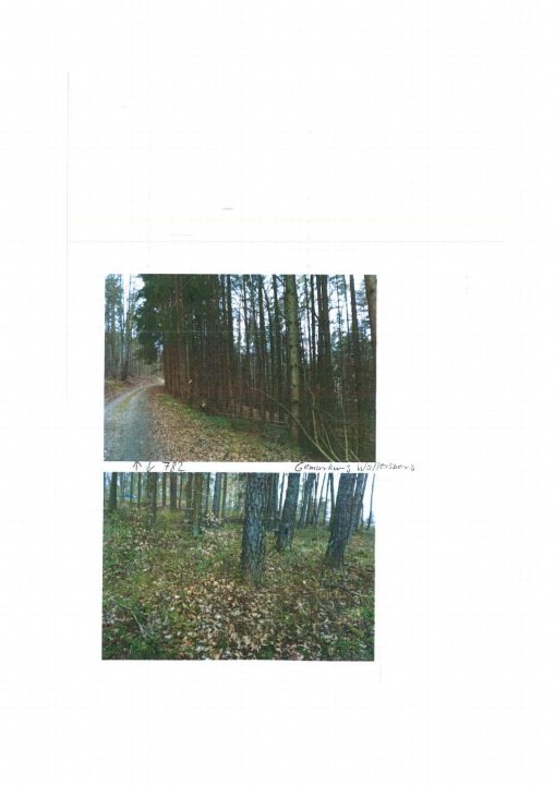 Garten — Unbekannt in Küps - Oberlangenstadt, Herösen