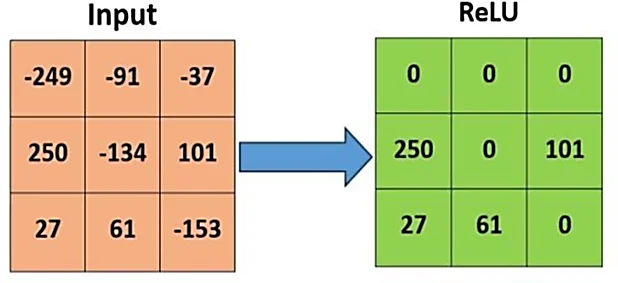 Fig. 4: A demonstration of the Rectified Linear Unit (ReLU).