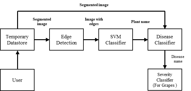 Fig. 5: Flow diagram of plant leaf disease classification mechanism.