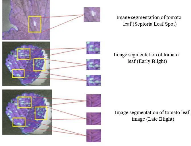 Fig. 6: Object segmentation using semantic segmentation of the image.