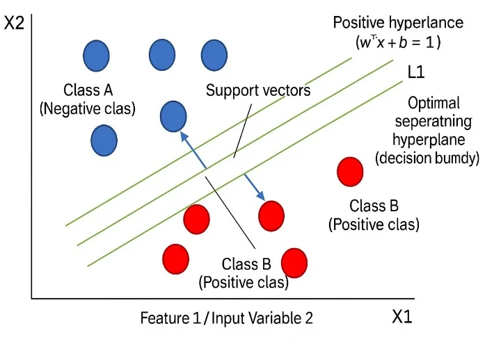 Fig. 2: Classification using SVM