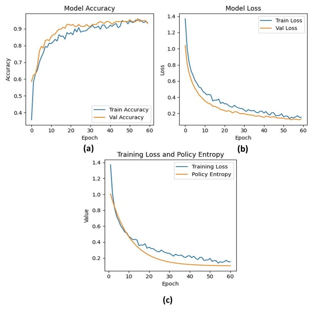 Fig. 2: Training and validation performance of the model across epochs