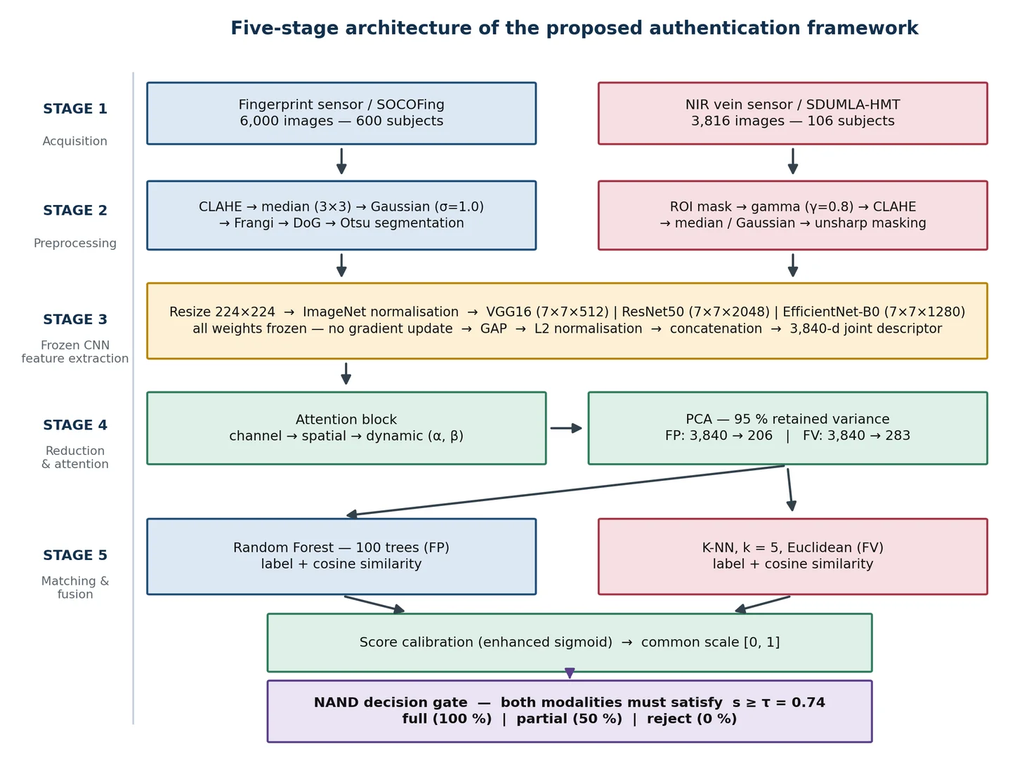 Five-stage architecture of the proposed authentication framework. The two modality branches remain independent through preprocessing, extraction and matching, and converge only at the decision gate.