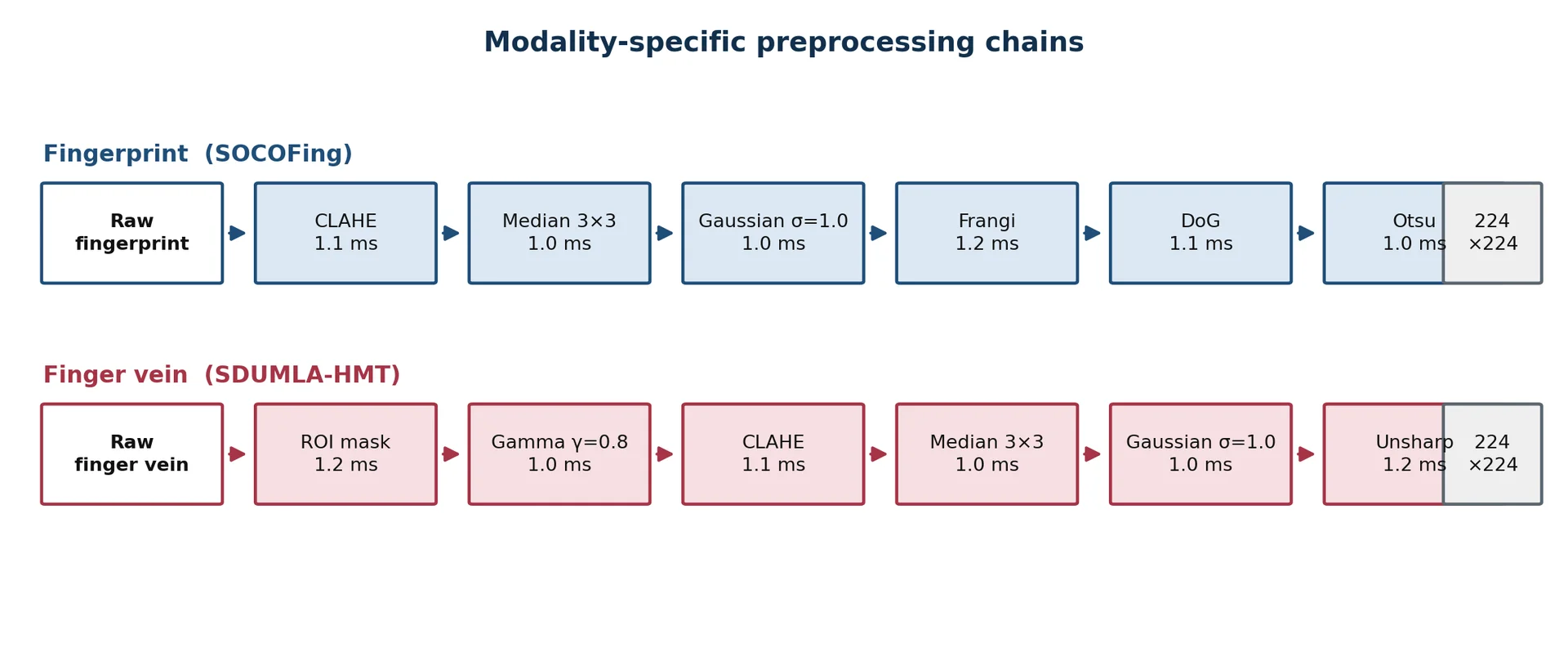 Modality-specific preprocessing chains with measured per-stage execution time. Both chains terminate in a common 224×224 ImageNet-normalised representation, which is what permits a single shared backbone stack to serve both modalities.