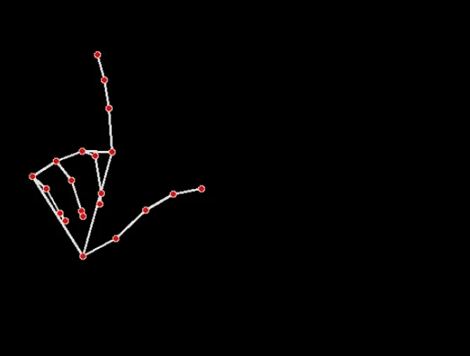 Fig. 11: Extracted hand skeleton representation during live processing